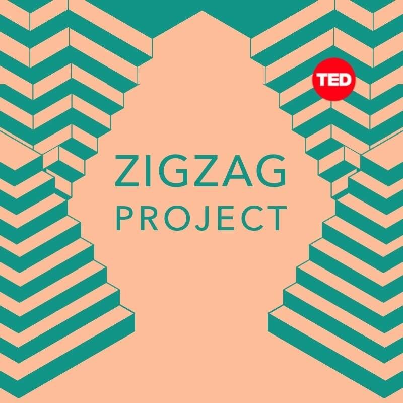 Bonus Episode: ZigZag - The Pulse