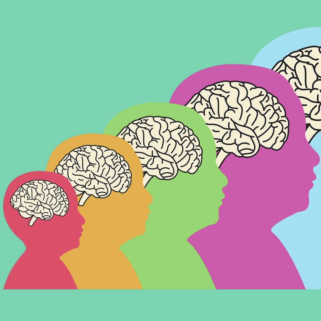 Listen Again: Life Stages Of The Brain (10.8.2021)