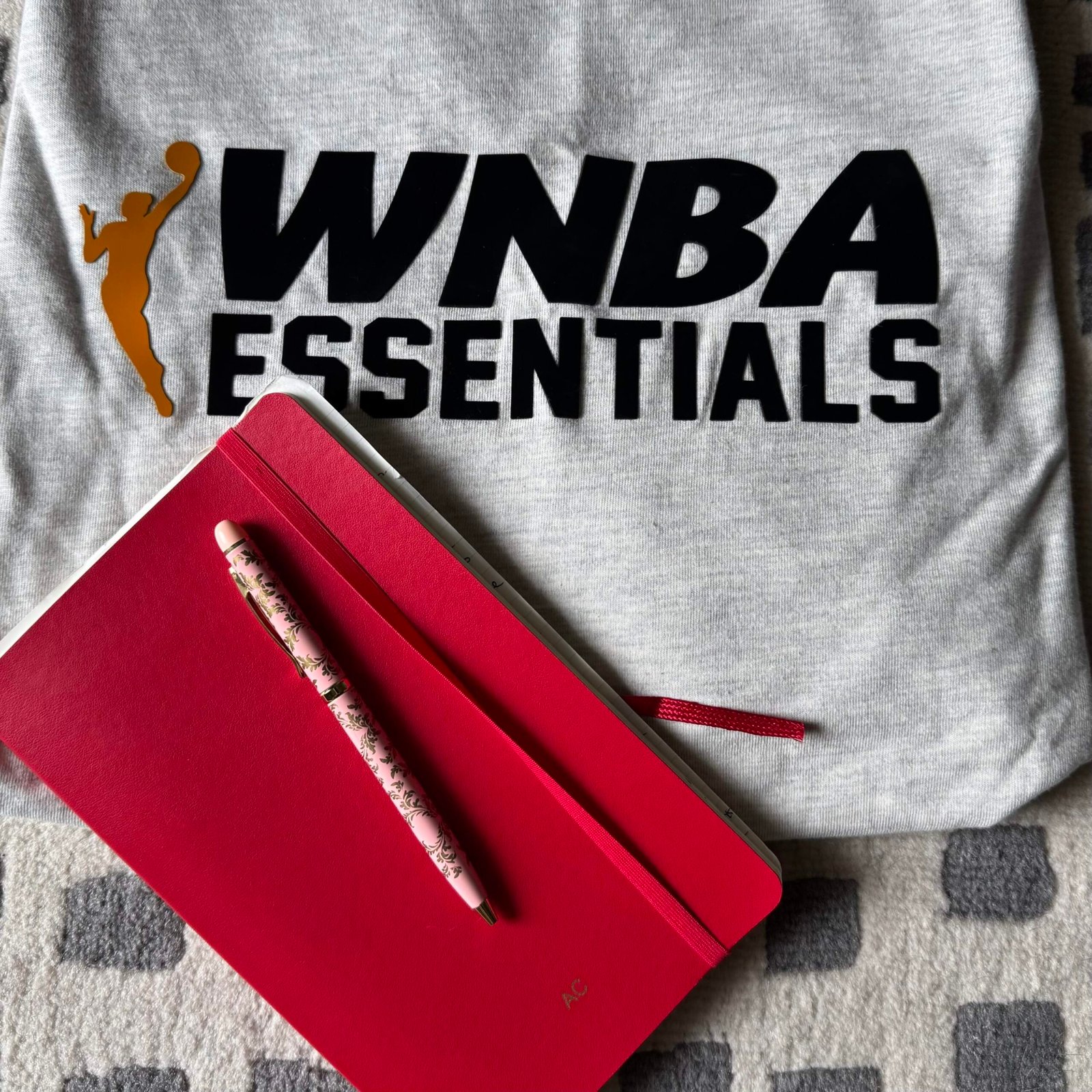 Diary of a WNBA negotiator